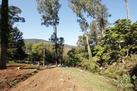 105 Wonga Rd, Millgrove, VIC 3799