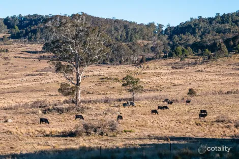 1974 Tuross Rd, Kybeyan, NSW 2631