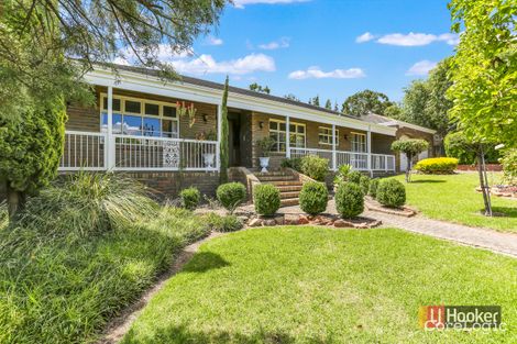 17 Pellew Ave, Auldana, SA 5072