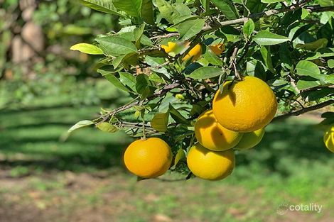 Property photo of 44 Kindara Street Amity QLD 4183