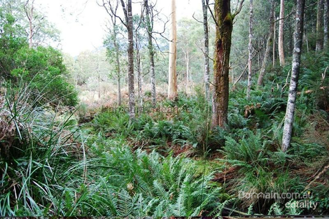 Property photo of 236 Beaumonts Road Dunorlan TAS 7304