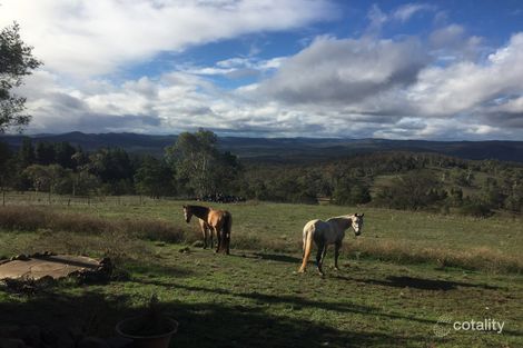 Property photo of 1560 Numeralla Road Numeralla NSW 2630