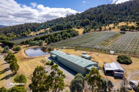 Clear View Rd, Crabtree, TAS 7109