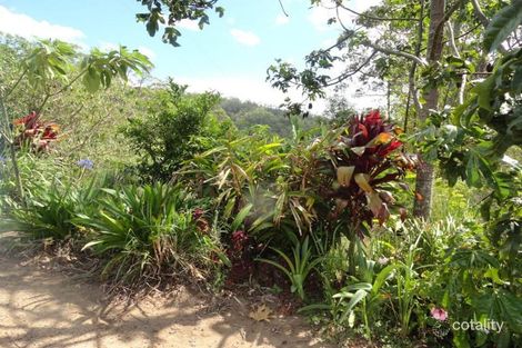 57 Wainwrights Rd, Upper Horseshoe Creek, NSW 2474