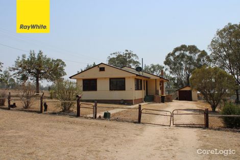 Property photo of 80 Martyn Street Ashford NSW 2361