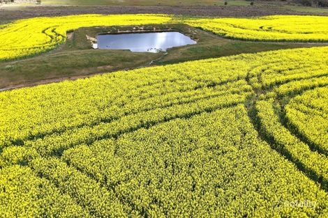 171 KWORNICUP RD, FOREST HILL, WA 6324