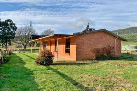 Property photo of 471 Nook Road Nabowla TAS 7260