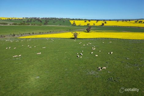 170 Kanoona Rd, Cunningar, NSW 2587