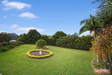 Property photo of 45 Dierdre Drive Eumundi QLD 4562