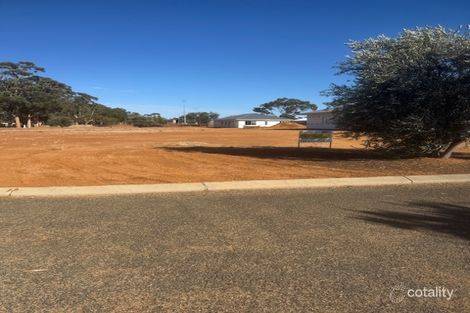 6 Haydon Cl, Corrigin, WA 6375