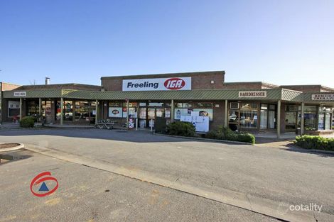 Property photo of 7 Gray Street Freeling SA 5372