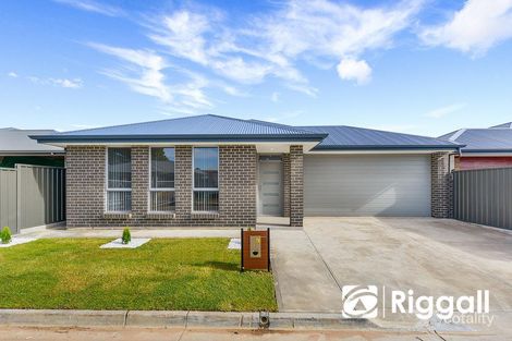 41 Sheffield Cres, Blair Athol, SA 5084