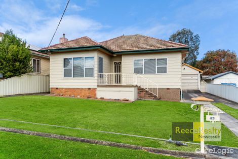 Property photo of 43 Milne Street Shortland NSW 2307