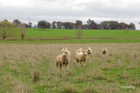 181 Trebleys Rd, Cookardinia, NSW 2650