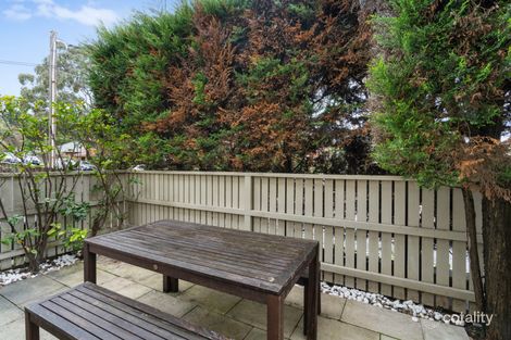 Property photo of 2/116 Carrington Road Randwick NSW 2031