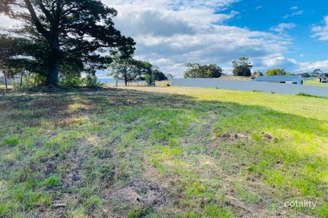 7 Amos Pl, Swansea, TAS 7190