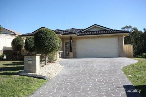 Property photo of 24 Willcox Avenue Singleton Heights NSW 2330