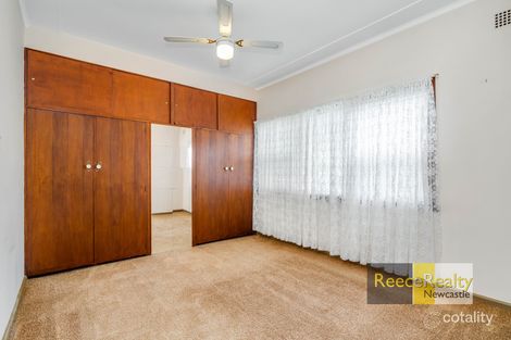 Property photo of 43 Milne Street Shortland NSW 2307