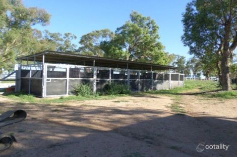Property photo of 22 Spring Ridge Road Gulgong NSW 2852