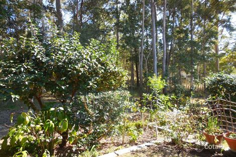 Property photo of 62/37 Old Coach Road Tallai QLD 4213