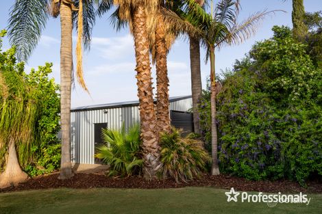 Property photo of 158 Sixteenth Street Mildura VIC 3500