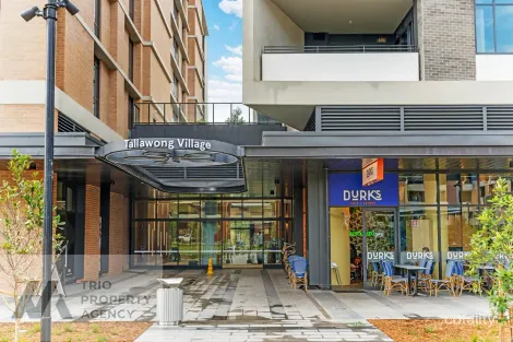 Property photo of 41 Orticelli Street Tallawong NSW 2762