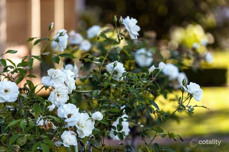 Property photo of 123 River Road Glenthorne NSW 2430