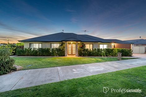 18 Frangista Rd, Butler, WA 6036