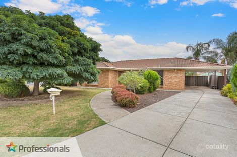 Property photo of 25 Jaycee Street Modbury North SA 5092