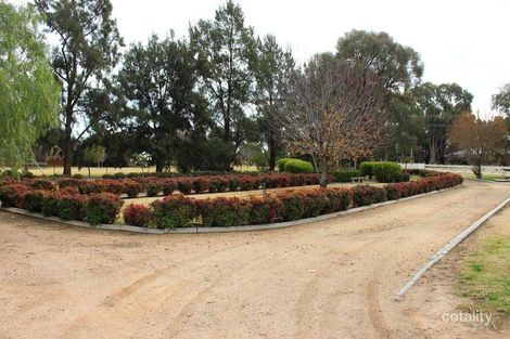 Property photo of 202 River Road Forbes NSW 2871