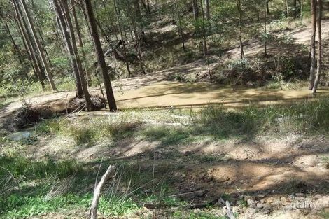 Property photo of LOT 2 Ridge Road Knapp Creek QLD 4285