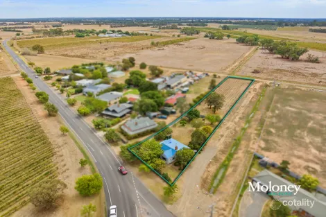 Property photo of 13 Scott Street Rutherglen VIC 3685