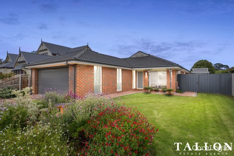 Property photo of 14 Kara Court Crib Point VIC 3919