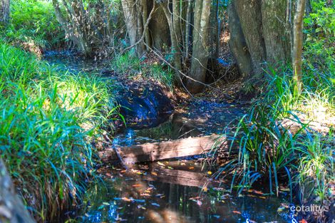 Property photo of 40 Elsa Court Peachester QLD 4519