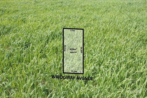 30 Wridgway Ave, Burwood, VIC 3125