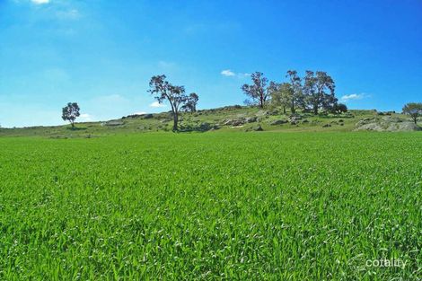 199 Myanarra Rd, St Ronans, WA 6302