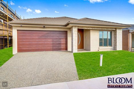 Property photo of 17 Mandrake Street Tarneit VIC 3029