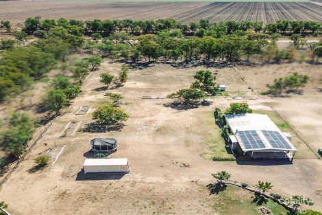 Property photo of 13 Birch Drive Emerald QLD 4720