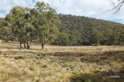 209 Soldiers Hill Rd, Wisemans Creek, NSW 2795