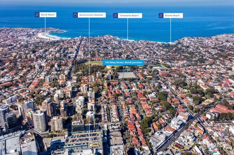 Property photo of 143 Ebley Street Bondi Junction NSW 2022
