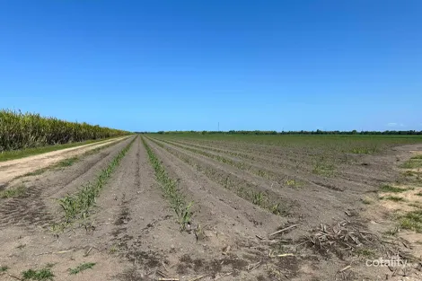 Lot 5 Henry Rd, Euramo, QLD 4854