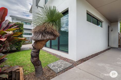 Property photo of 101 Stuart Street Bulimba QLD 4171