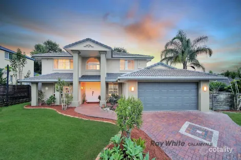 Property photo of 12 Fernwyn Street Calamvale QLD 4116