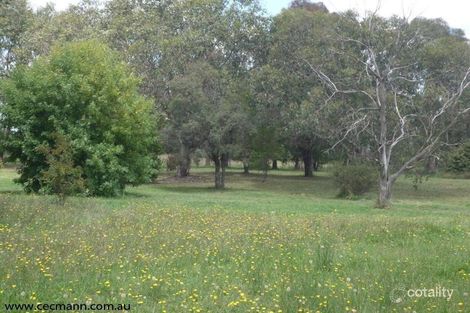 Property photo of 22 Mandelkow Road The Summit QLD 4377