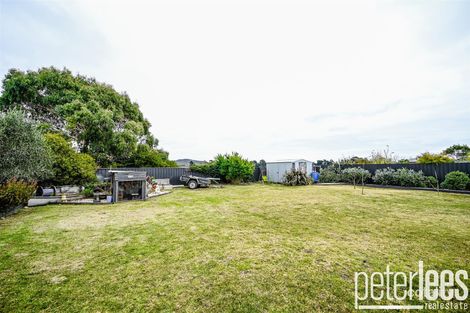 Property photo of 17 Ferguson Street Kelso TAS 7270