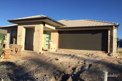 14 Capella St, Coomera, QLD 4209