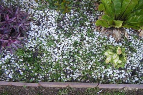 Property photo of 42 Searle Street Thabeban QLD 4670