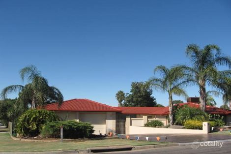 6 Phoebe Ave, Modbury Heights, SA 5092