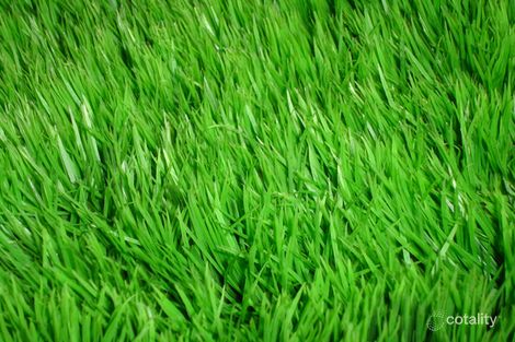 45 Raphael St, Abbotsford, VIC 3067