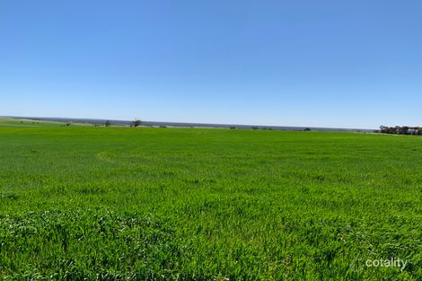 19943 Flinders Hwy, Talia, SA 5670